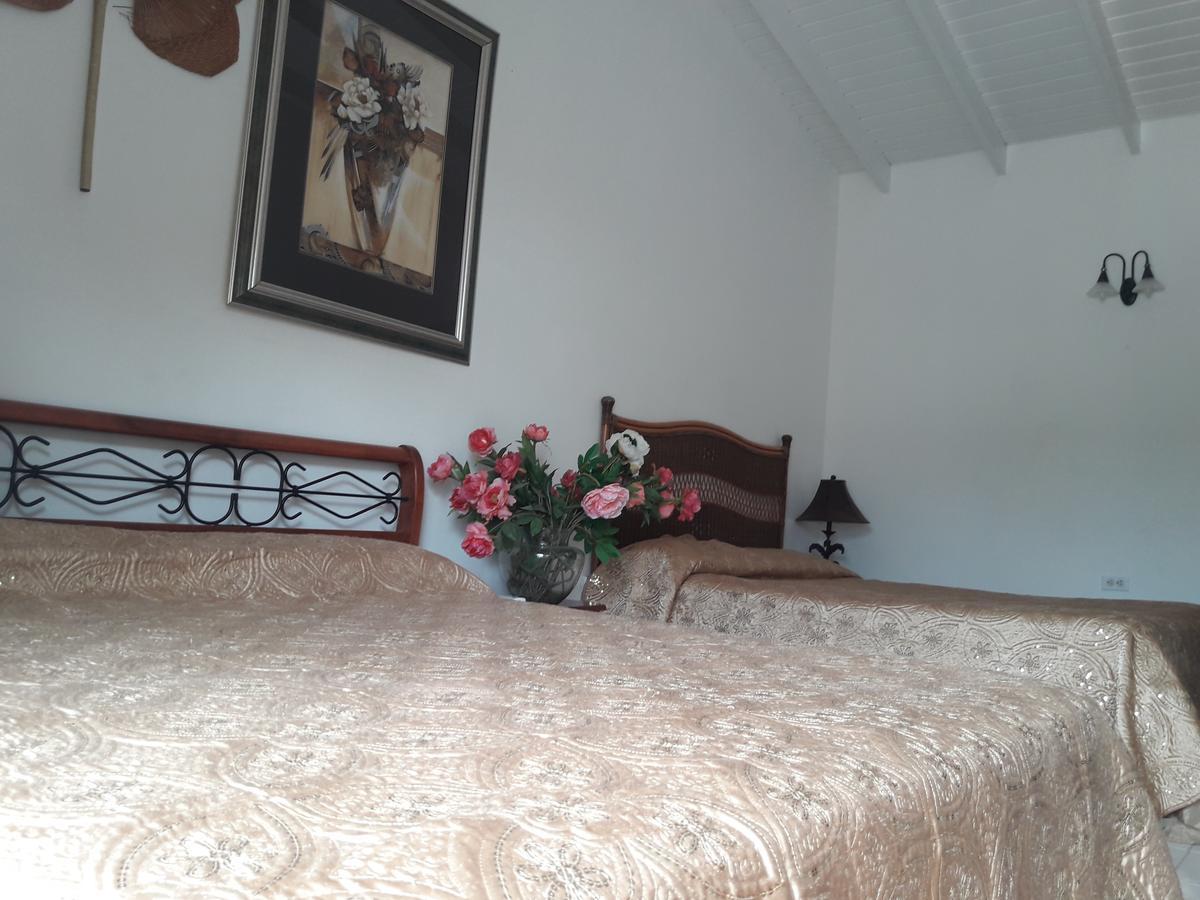Aruba Harmony Apartments Oranjestad Buitenkant foto